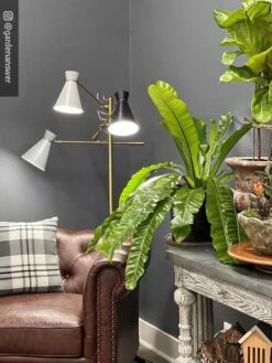 Adjustable 3-Arm Grow Lamp 15 Adjustable 3-Arm Grow Lamp -Garden Care Shop 8609868 01IN tif