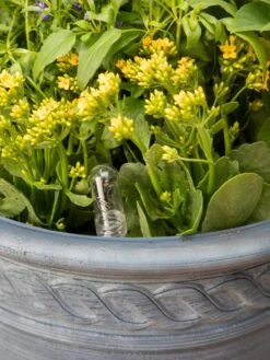 Adjustable Self-Watering Insert For Pots And Planters 21 Adjustable Self-Watering Insert For Pots And Planters -Garden Care Shop 8610250 0010 tif