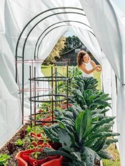 Maxi Garden Hoops With Clips -Garden Care Shop 8610373 377 tif