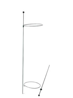 Peacock Mini Plant Support Rings 8", Set Of 2 -Garden Care Shop 8610388 9565 tif