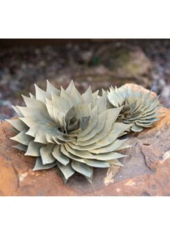 Desert Steel Spiral Aloe Sculpture 13 Desert Steel Spiral Aloe Sculpture -Garden Care Shop 8610749 03v