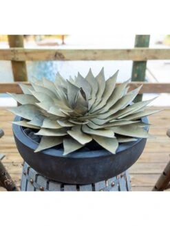Desert Steel Spiral Aloe Sculpture 16 Desert Steel Spiral Aloe Sculpture -Garden Care Shop 8610750 02v