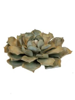 Desert Steel Blue Rose Succulent Sculpture -Garden Care Shop 8610763 01v desert steel blue rose succulent small