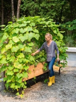 Garden Care Shop -Garden Care Shop 8610798 062 tif