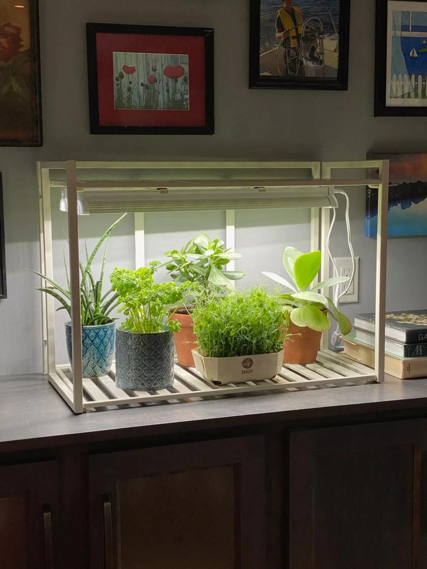 Oslo 1-Tier LED Grow Light Garden 6 Oslo 1-Tier LED Grow Light Garden - Image 4