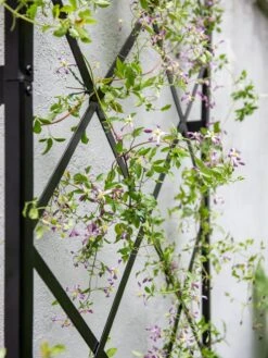 Lattice Gable Wall Trellis -Garden Care Shop 8611130 011