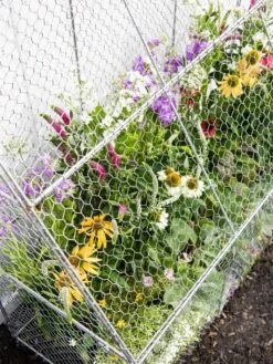 Chicken Wire Flat Back Crop Coop -Garden Care Shop 8611701 153 tif