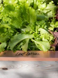 Re-Markable Raised Bed Trim -Garden Care Shop 8611757 326 tif