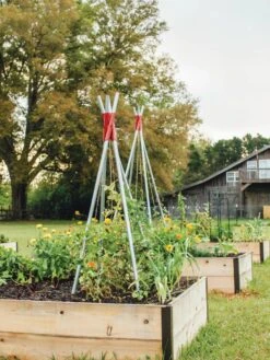 DIY Connector For Teepee Trellis 20 DIY Connector For Teepee Trellis -Garden Care Shop 8611896 71 tif