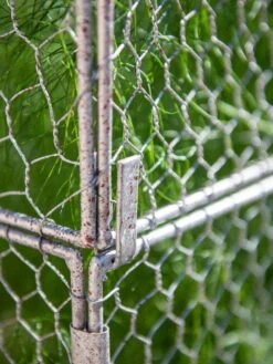 Chicken Wire Crop Coop Extension 12 Chicken Wire Crop Coop Extension -Garden Care Shop 8611940 232 tif