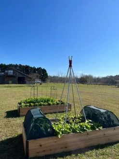 Insect And Pest Net Row Protector 11 Insect And Pest Net Row Protector -Garden Care Shop 8611985 04 tif