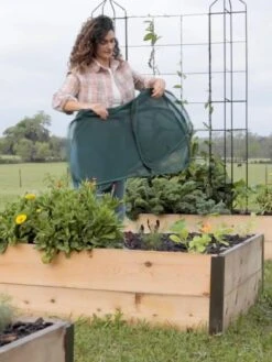 Insect And Pest Net Row Protector 12 Insect And Pest Net Row Protector -Garden Care Shop 8611985 8389 tif