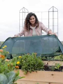 Insect And Pest Net Row Protector 13 Insect And Pest Net Row Protector -Garden Care Shop 8611985 8390 tif