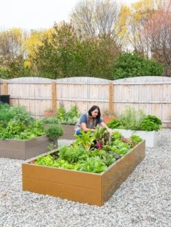 Somerset Metal Raised Beds, As Is 19 Somerset Metal Raised Beds, As Is -Garden Care Shop 8612020 0014 tif