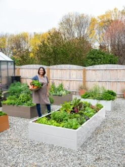 Somerset Metal Raised Beds, As Is 17 Somerset Metal Raised Beds, As Is -Garden Care Shop 8612020 0016 tif