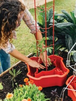 Deluxe Tomato Halos, Set Of 2 14 Deluxe Tomato Halos, Set Of 2 -Garden Care Shop 8612045 135 tif