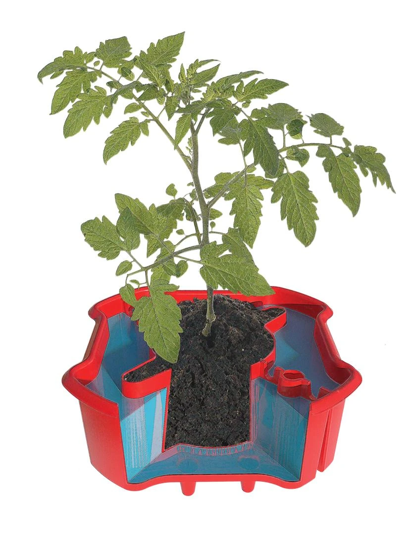 Deluxe Tomato Halos, Set Of 2 9 Deluxe Tomato Halos, Set Of 2 - Image 7