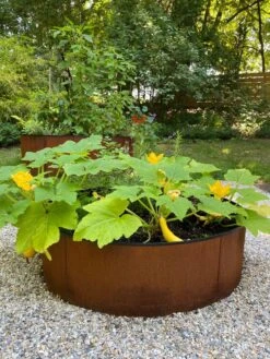 Birdies™ Corten Steel Round Raised Beds -Garden Care Shop 8612422 0484 tif
