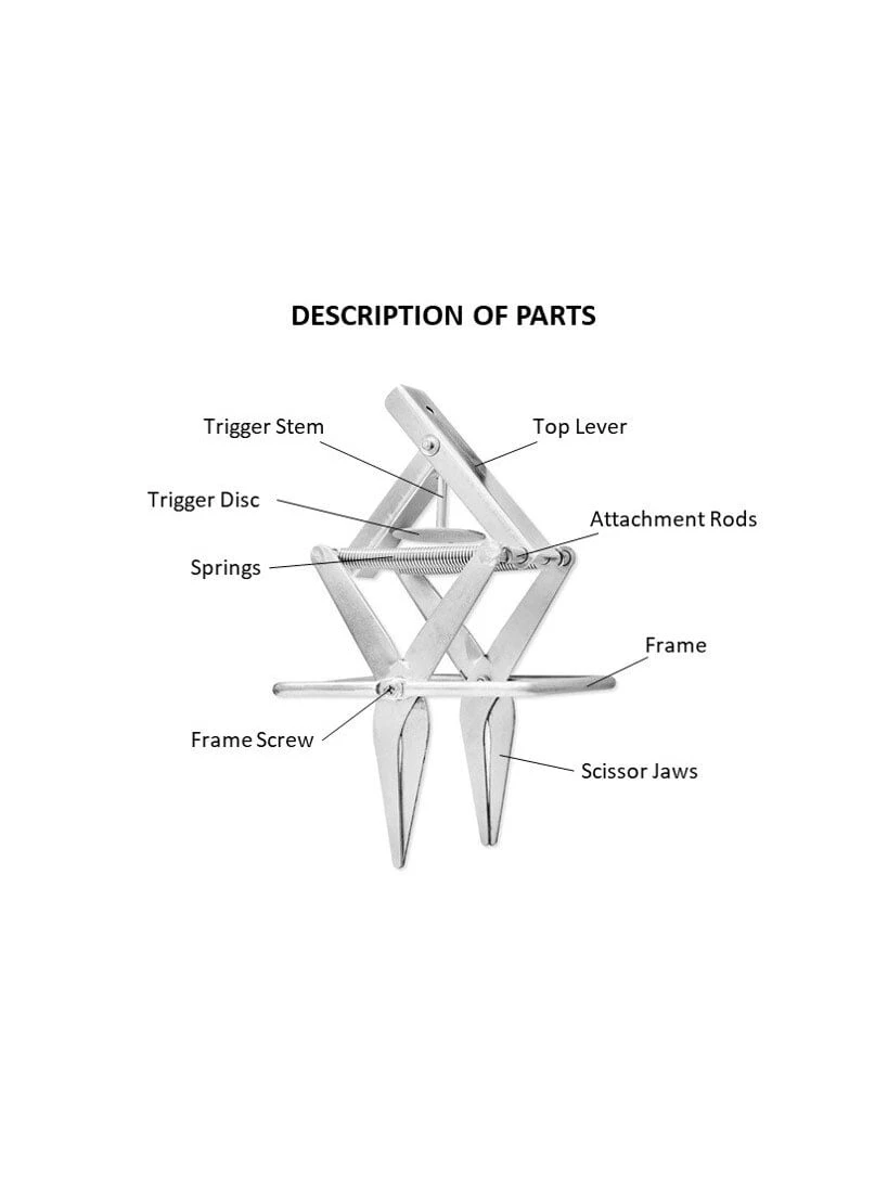 Easy Mole Trap 6 Easy Mole Trap - Image 4