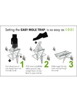 Easy Mole Trap 8 Easy Mole Trap -Garden Care Shop 8612557 04v 1