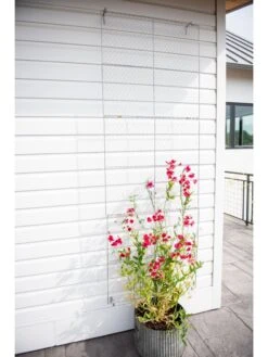 Chicken Wire Wall Trellis -Garden Care Shop 8612717 0093