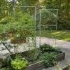 Chicken Wire Pea Trellis -Garden Care Shop 8612718 7313 chicken wire pea trellis