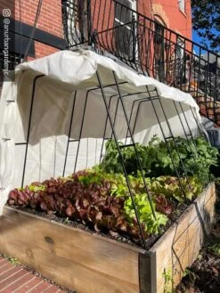 Cotton All Purpose Garden Cover 11 Cotton All Purpose Garden Cover -Garden Care Shop 8612816 01CUST 1