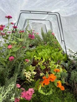 Zenith Garden Hoops, Set Of 4 14 Zenith Garden Hoops, Set Of 4 -Garden Care Shop 8612816 01TEST 1