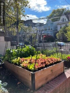 Zenith Garden Hoops, Set Of 4 16 Zenith Garden Hoops, Set Of 4 -Garden Care Shop 8612816 02CUST