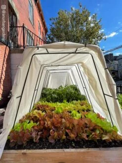 Cotton All Purpose Garden Cover 12 Cotton All Purpose Garden Cover -Garden Care Shop 8612816 03CUST