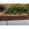 Wine Barrel Succulent Planter -Garden Care Shop 8613034 01v