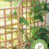 Bamboo Zig-Zag Trellis 24" X 36" -Garden Care Shop 8613151 15