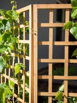 Bamboo Zig-Zag Trellis 24" X 36" -Garden Care Shop 8613151 6491