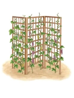 Bamboo Zig-Zag Trellis 24" X 36" -Garden Care Shop 8613151 art flat