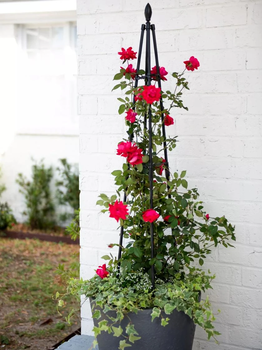 Teardrop Teepee Trellis, 47.25" 3 Teardrop Teepee Trellis, 47.25"