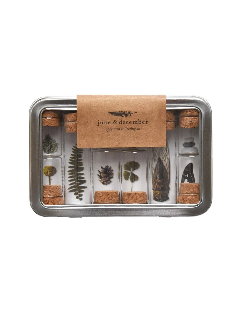 Botanical Specimen Collecting Kit 3 Botanical Specimen Collecting Kit