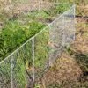 Chicken Wire Critter Fence, 16" High -Garden Care Shop 8613249 0368 chicken wire critter fence 16 inches high