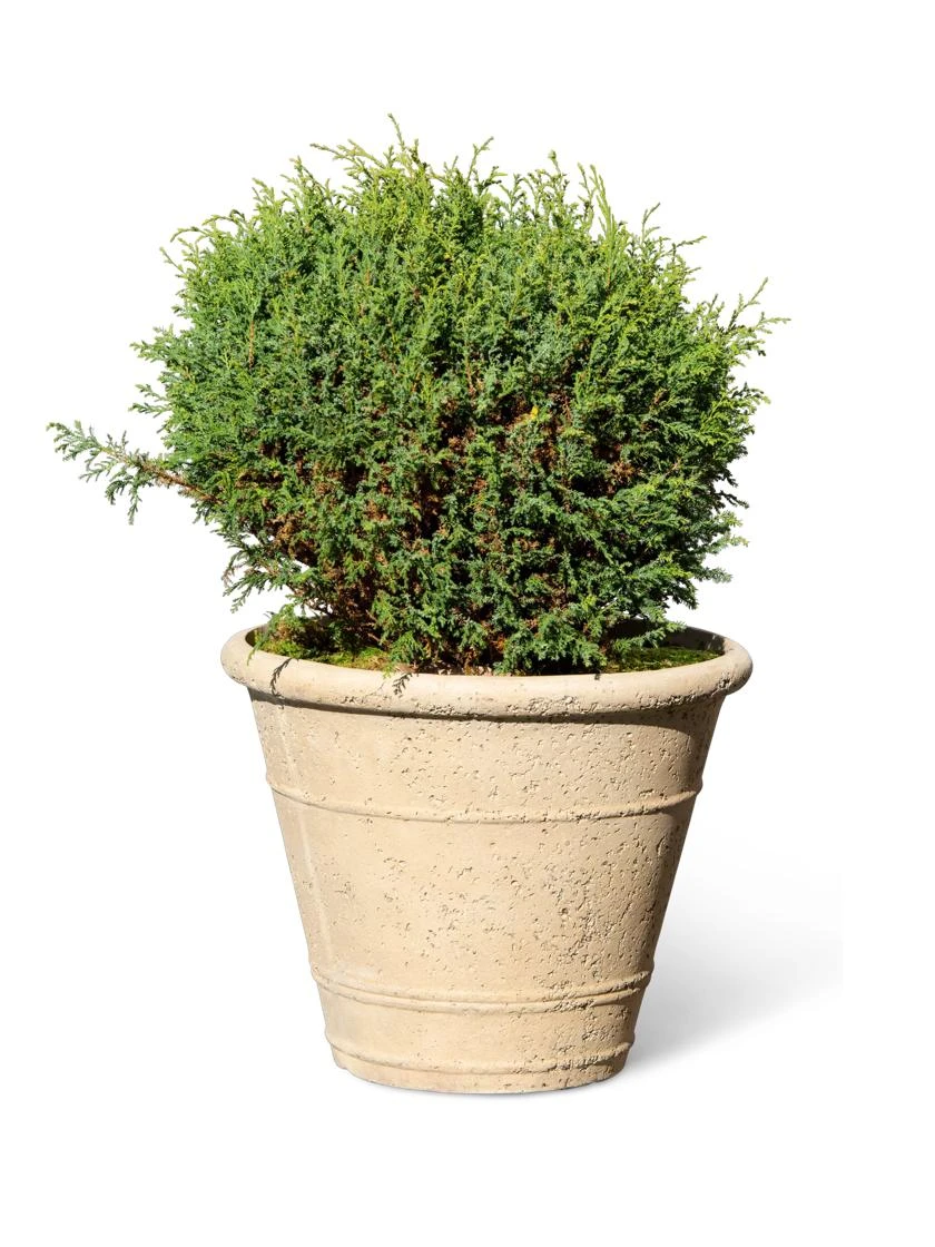 Self-Watering LavaStone® Anson Pot 7 Self-Watering LavaStone® Anson Pot - Image 5