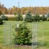 Tall Chicken Wire Critter Fence Extension Panel, Set Of 2 1 Tall Chicken Wire Critter Fence Extension Panel, Set Of 2 -Garden Care Shop 8613260 0036