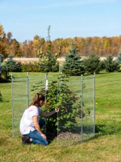 Tall Chicken Wire Critter Fence With Gate 18 Tall Chicken Wire Critter Fence With Gate -Garden Care Shop 8613260 0044