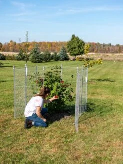 Tall Chicken Wire Critter Fence Extension Panel, Set Of 2 -Garden Care Shop 8613260 0090