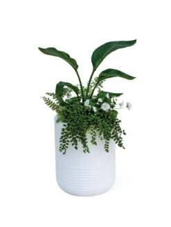 Arden Round Planter -Garden Care Shop 8613267 0115