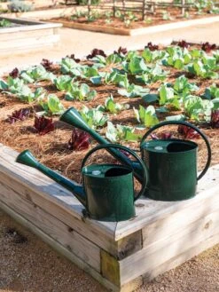 Long Reach Watering Can, Large 12 Long Reach Watering Can, Large -Garden Care Shop 8613346 0148 1