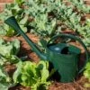 Long Reach Watering Can, Large 1 Long Reach Watering Can, Large -Garden Care Shop 8613346 0149