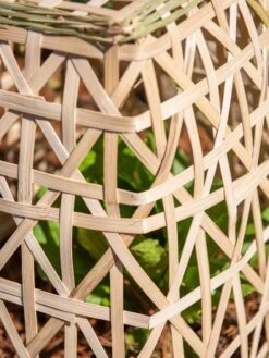 Bamboo Cloche, Set Of 2 -Garden Care Shop 8613351 0153