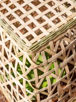 Bamboo Cloche, Set Of 2 -Garden Care Shop 8613351 0154