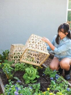 Bamboo Cloche, Set Of 2 -Garden Care Shop 8613351 6862