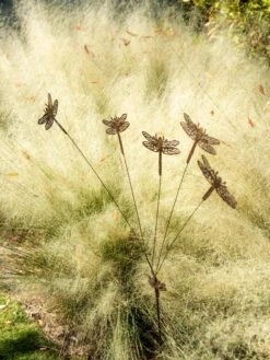 Flutterer Garden Stake 17 Flutterer Garden Stake -Garden Care Shop 8613372 0162