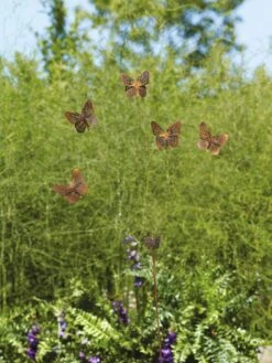 Flutterer Garden Stake 15 Flutterer Garden Stake -Garden Care Shop 8613372 01V tif