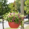 Self-Watering Hanging Basket -Garden Care Shop GS34368 10 tif
